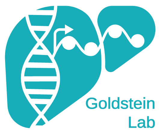 job-ad-ido-goldstein-lab-logo.png