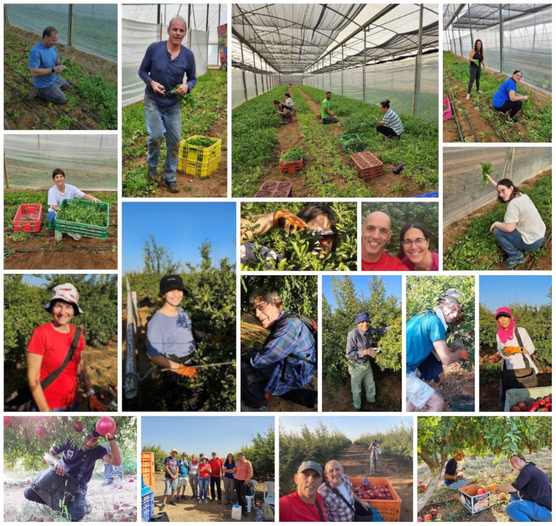 harvot-barzel-agriculture-volunteer.jpg