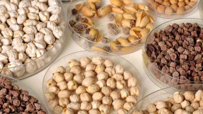 nutrition-image.png