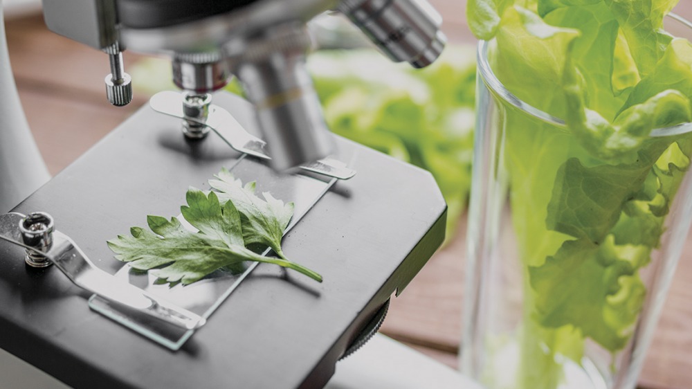 foodtech