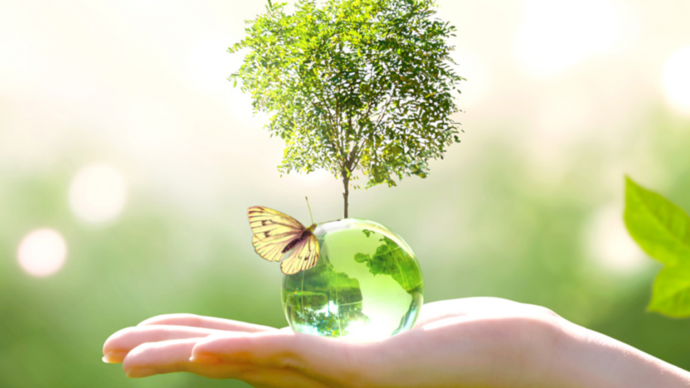 environmental-sciences-image.png