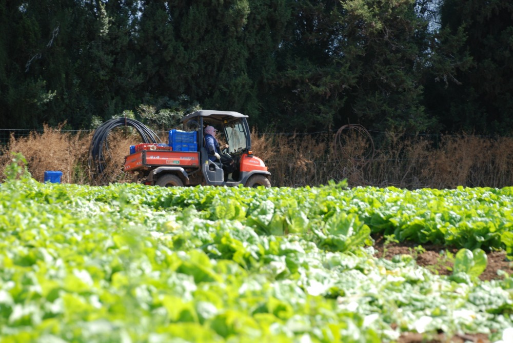 PikiWiki_Israel_39947_Agriculture_in_Israel :טרקטור חקלאות בכפר מל״ל 