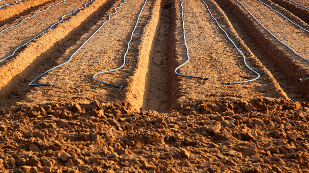 soil-and-water-sciences-image.png
