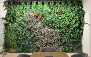 ai-tech-improves-green-walls.jpg