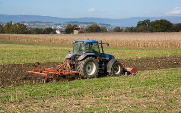 can-israel-become-fully-food-self-sufficient.jpg