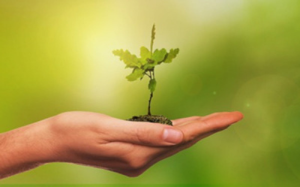 האם דמוקרטיה ישירה תורמת לסביבה does-direct-democracy-help-the-environment.jpg