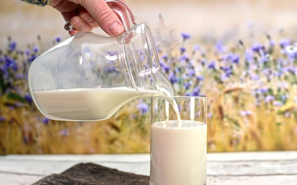 the-role-of-fat-globules-in-milk.jpg