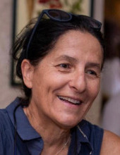 merav shamir